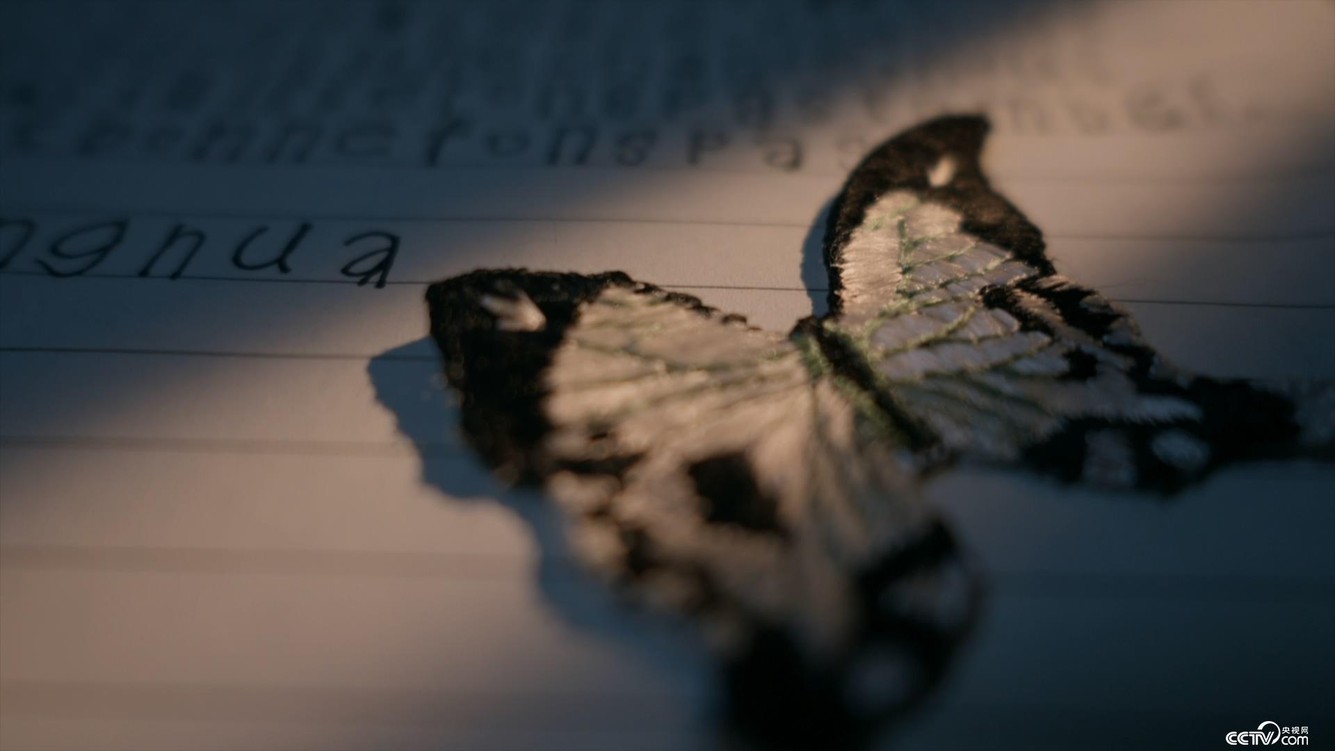 侏罗纪公园3 视频缩略图