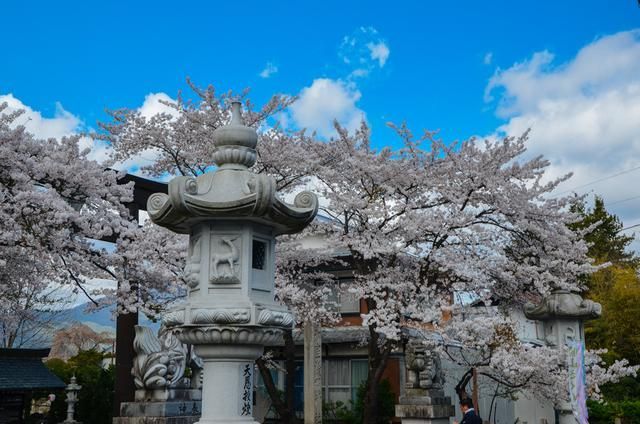 兄弟的判决 视频缩略图