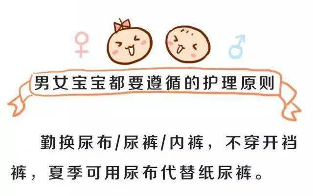 大佬攻略 2024 视频缩略图