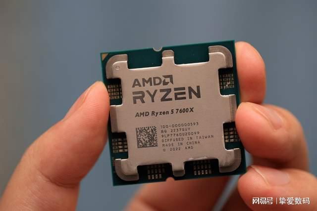 在金星重逢 视频海报