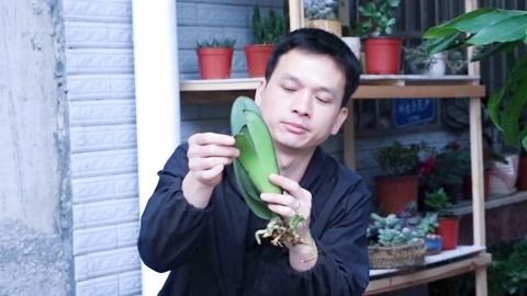 传奇的诞生（原声版） 视频缩略图