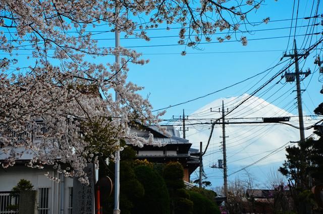 墨玉太极 视频海报