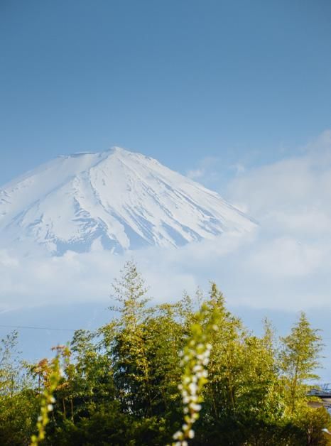 以青春的名义 视频缩略图