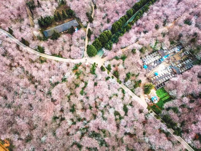 兄弟 视频缩略图