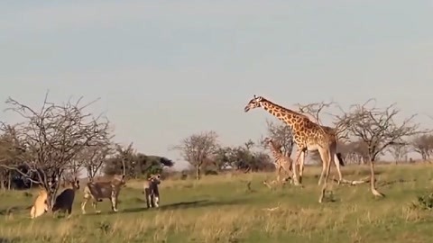 修补生活 视频缩略图