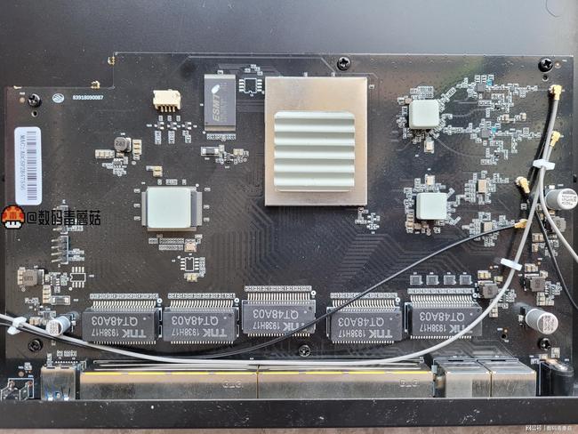 企业动物 视频缩略图