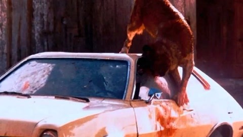 做个有钱人 视频缩略图