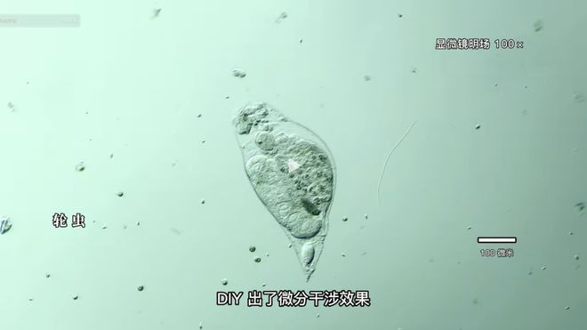 你的生命之轮 视频缩略图