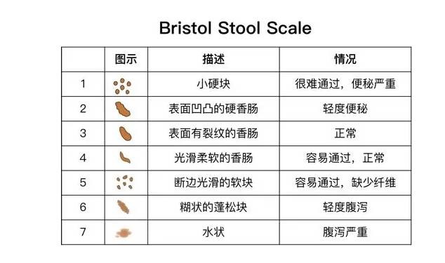 吉吉和内特 视频海报
