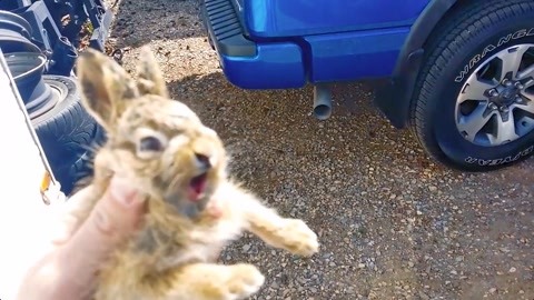 复合大作战 视频海报