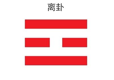 信不信由你 视频缩略图