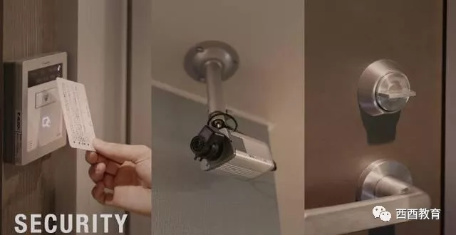 冲浪企鹅 视频缩略图