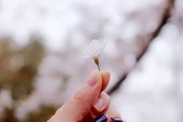 伯特·克赖舍：今夜来狂欢 视频海报