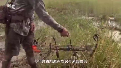 倩女幽魂：人间情 视频缩略图