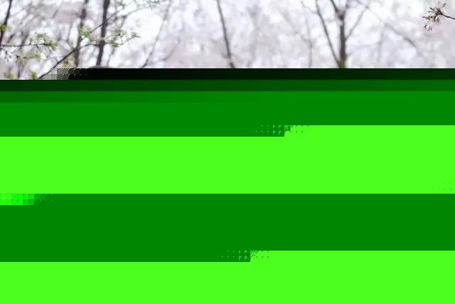 地下尖兵 视频海报