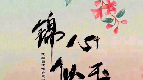 兄弟的判决 视频海报