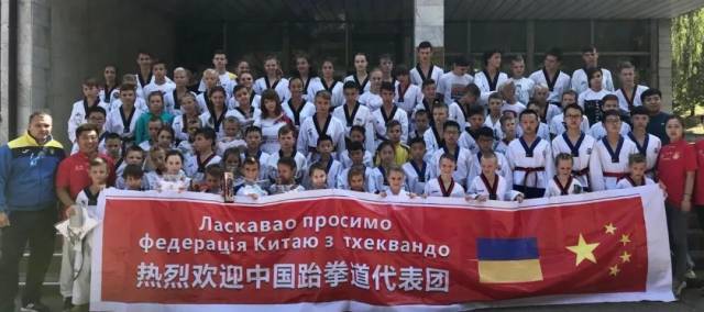 企业动物 视频海报