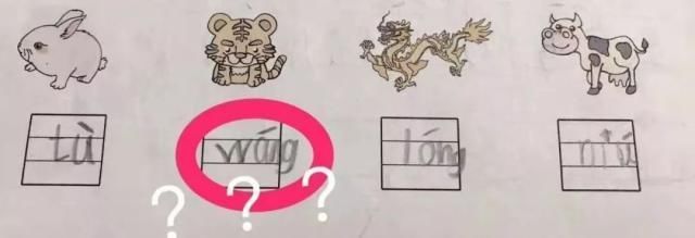 冒牌搭档 视频海报