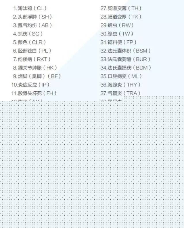 偷龙转凤 视频缩略图