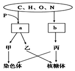 侏罗纪三角 视频缩略图