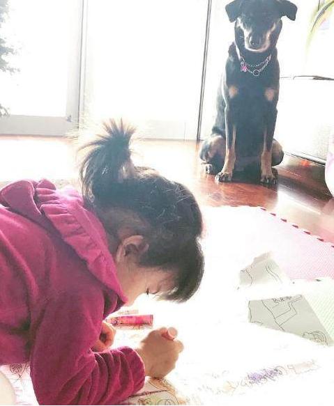 史蒂夫 Steve 视频海报