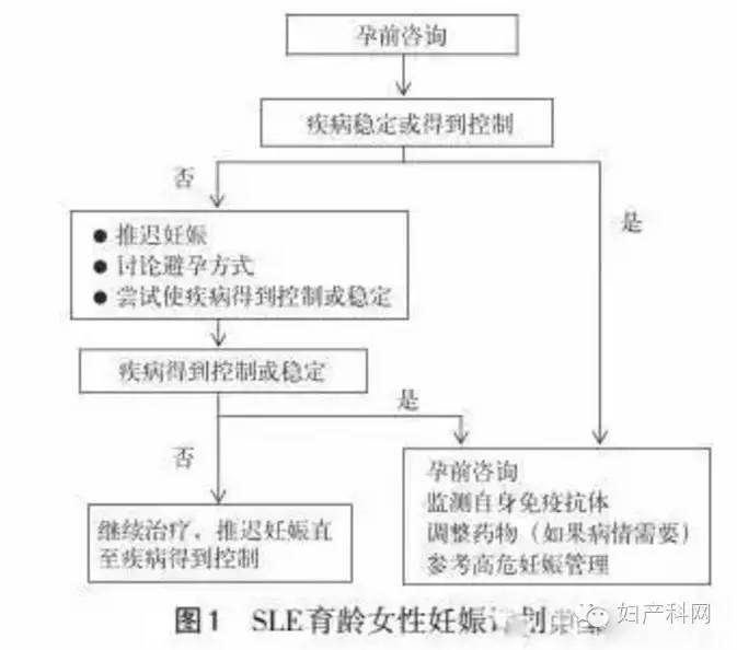 偷情别墅 视频缩略图