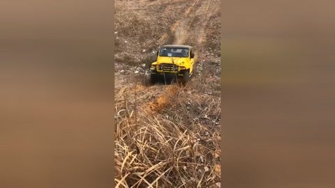 你的婚礼 视频缩略图