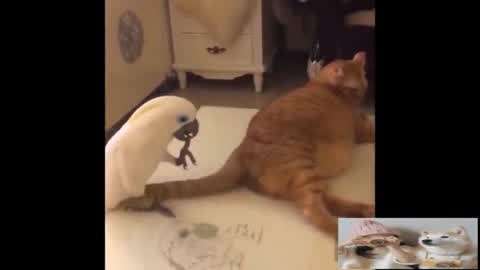 嘻哈翻转人生 视频海报