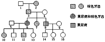 大佬攻略 2024 视频海报