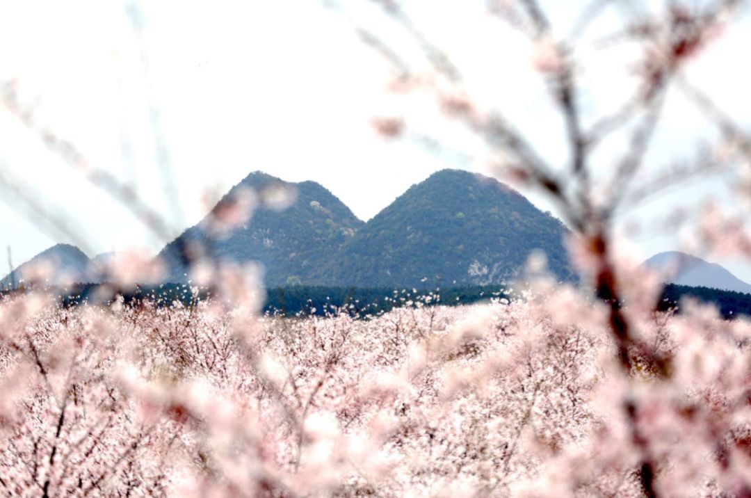 兄弟之义字当头 视频缩略图