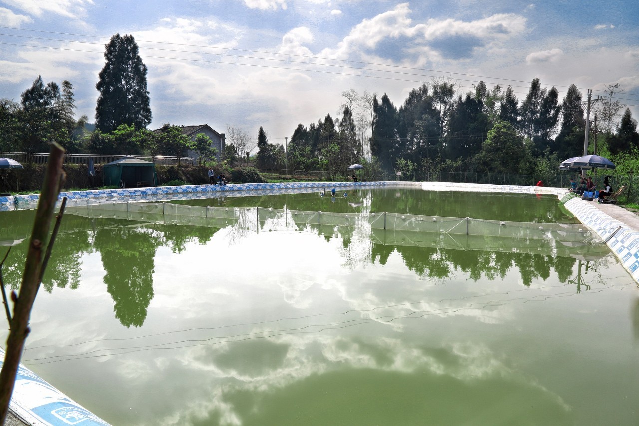 何者 视频缩略图