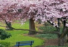 冰山一角 视频缩略图