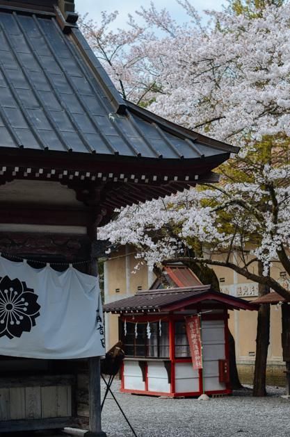 仿佛你消失了 视频缩略图