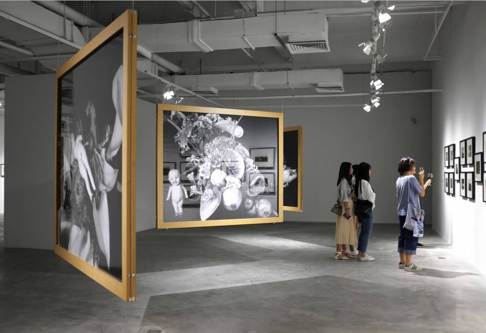 农场小牛牛：愚人节 视频海报