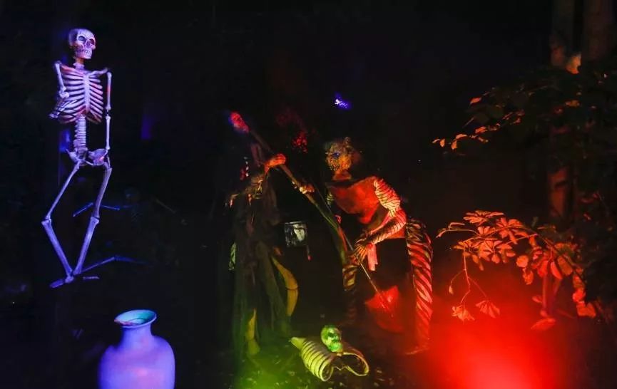 倔强的牛顿 视频海报