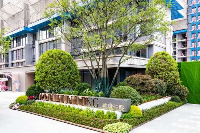 兄弟会 视频海报