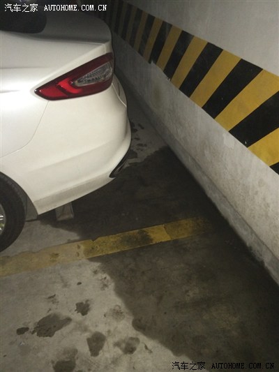 凶猫 兇貓 视频缩略图