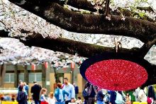 冥海禁地 视频缩略图