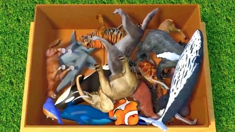 伍德布鲁斯的异想天开之旅 视频海报