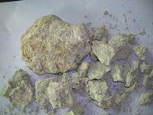 你好，疯子！ 视频缩略图