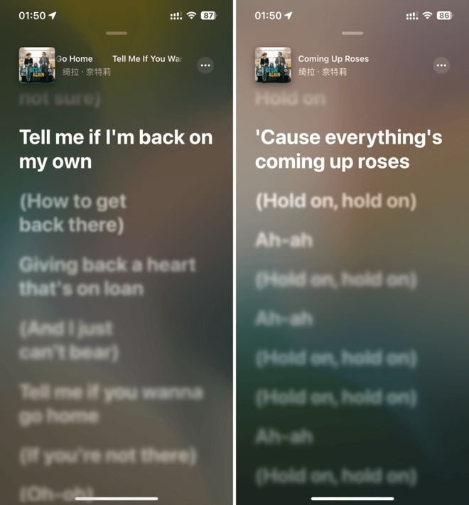 冰下的鱼 视频海报