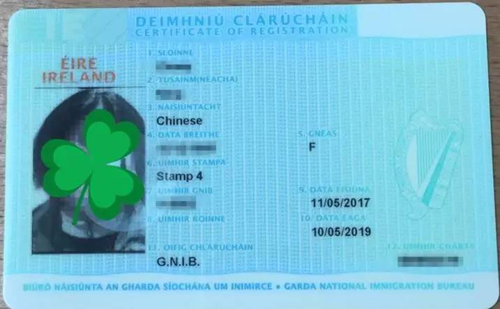 决战江湖之烂仔鸭王 视频海报