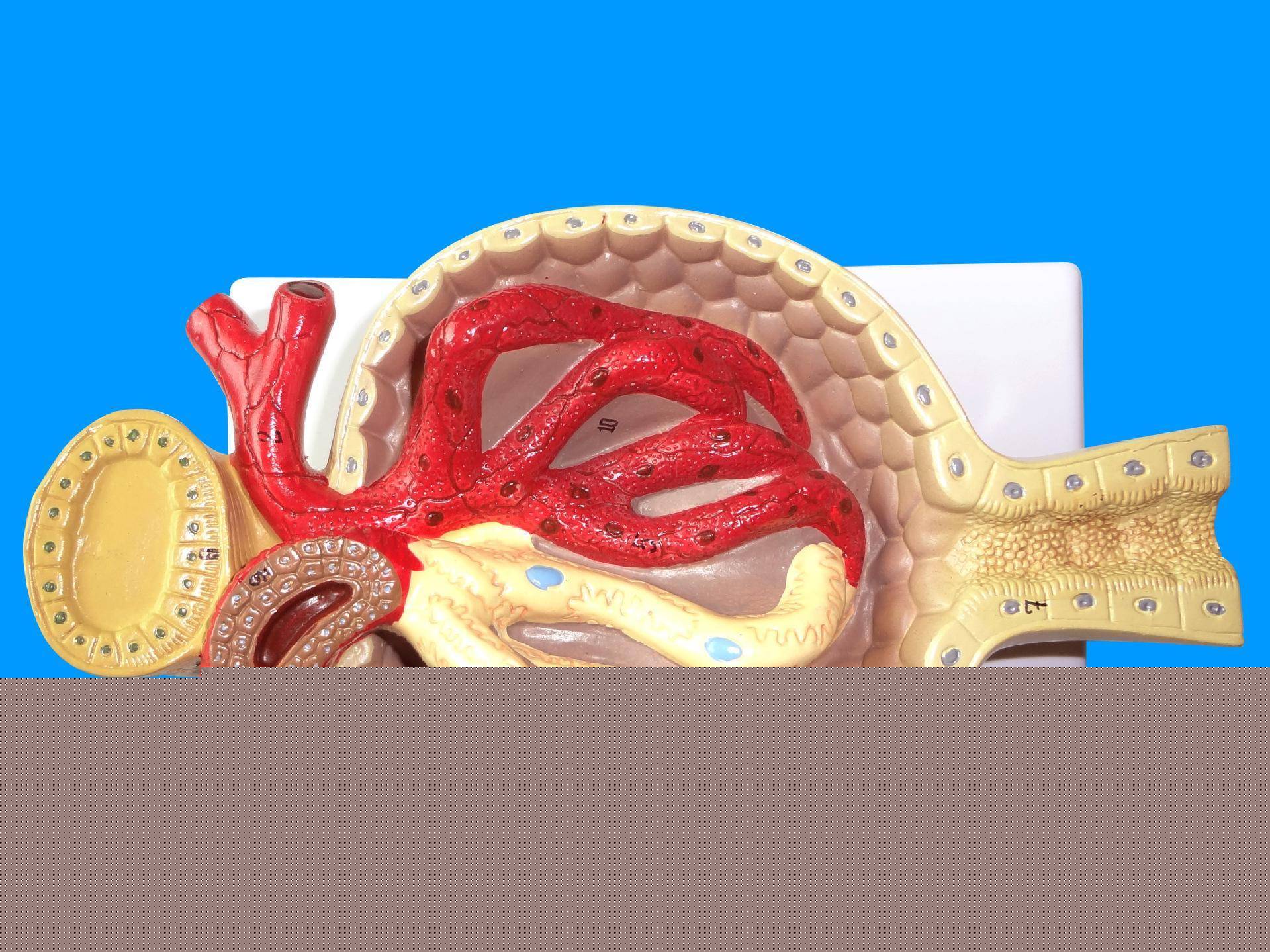 冥海禁地 视频主图
