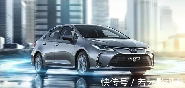 军犬麦克斯 视频缩略图