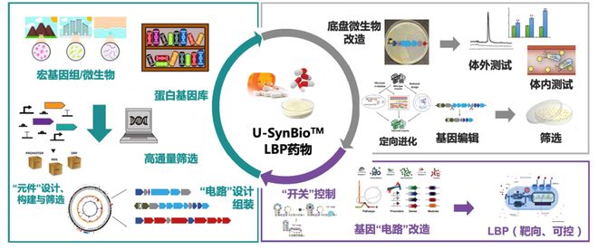 伦敦生活 视频主图