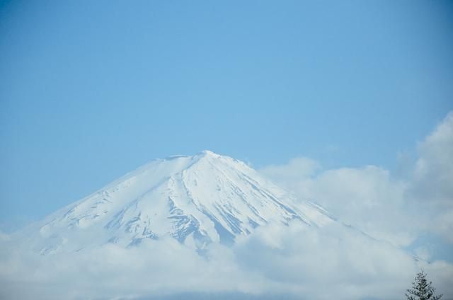 伊娃 视频缩略图