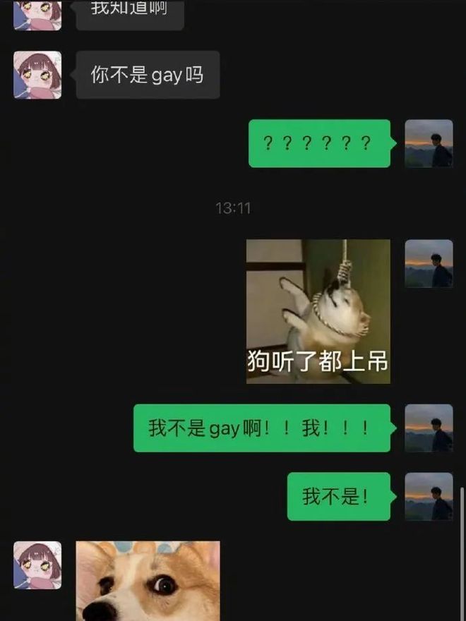伊娃 视频缩略图