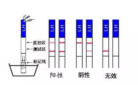 伊莲娜 视频缩略图