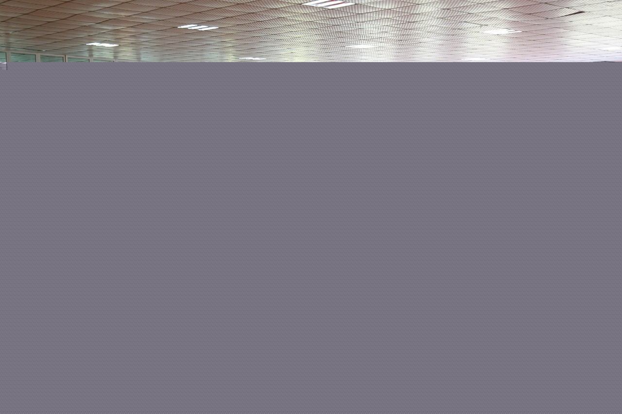 以假乱真：赝品的真实故事 视频缩略图