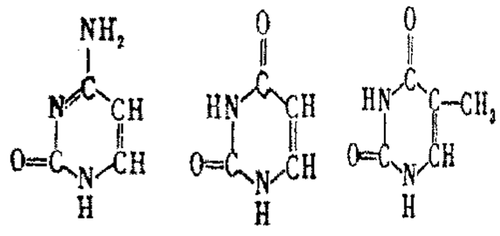 侵入者 视频缩略图